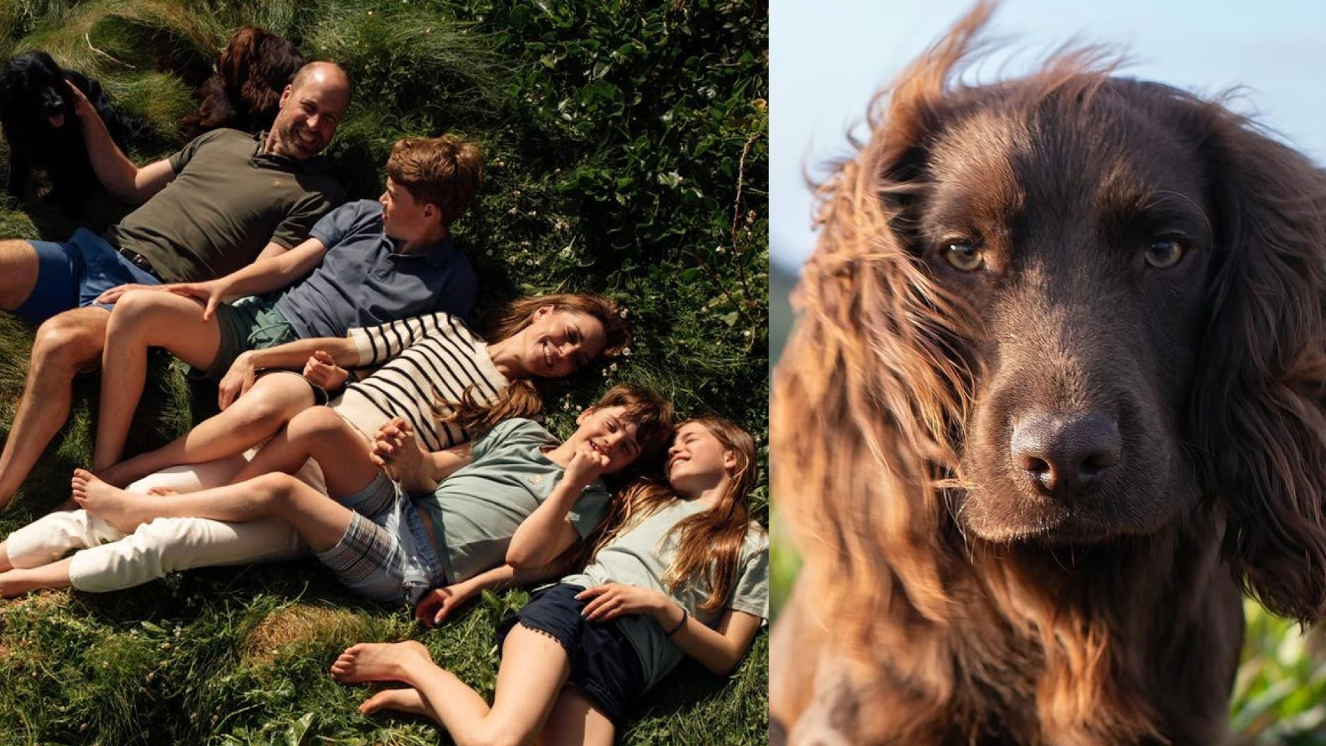 Prince William Princess Kate dog otto