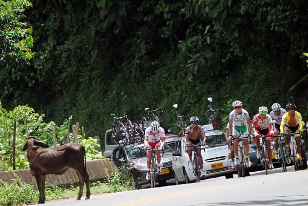 A curious onlooker observes the break during stage 2.