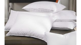 W Feather & Down Pillows, from one of w&h's best hotel pillow brands