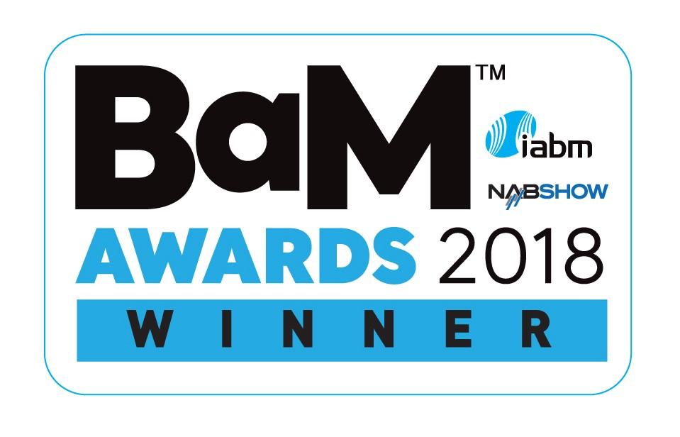 BaM-Winner-Logo copy