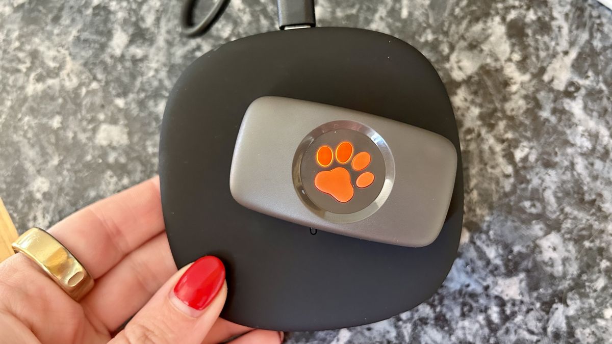 I put a GPS tracker on my dog — here's how far he ran Tom's Guide