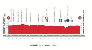 Stage 10 - Vuelta a Espana: Viviani wins stage 10