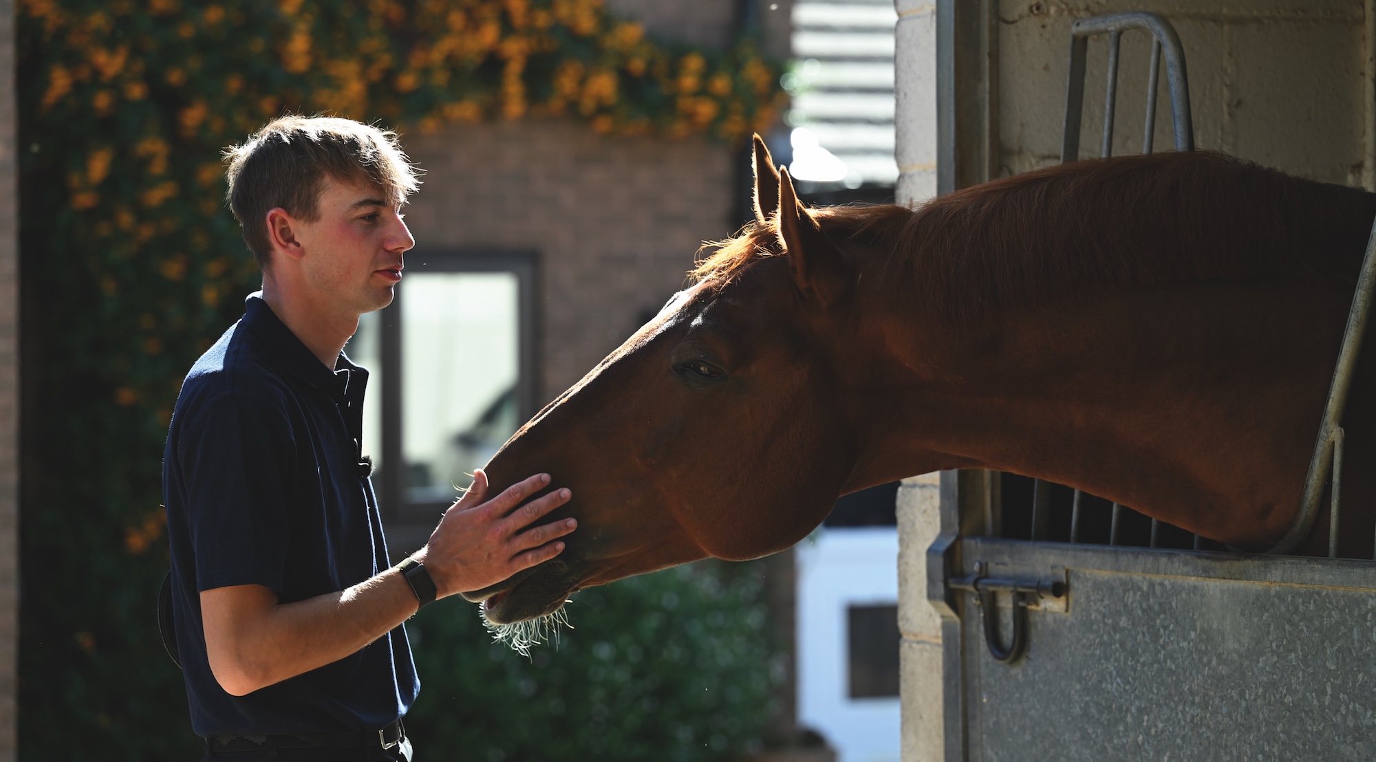 Joe Stockdale with his horses at home.
