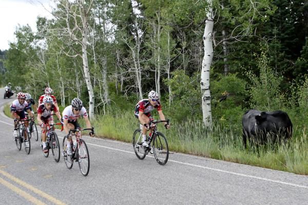 The break was really mooving today.