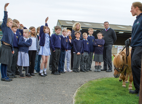 Thetford-Norfolk-school-at-World-Horse-Welfare.jpg