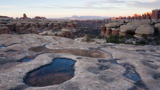 View of the Needles in Canyonlands National Park