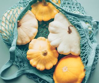 Five yellow and white pattypan squash in a blue string bag