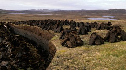 peat-free compost: peatlands having being dug for fuel