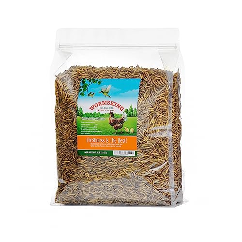 Wormsking Dried Mealworms for Wild Birds and Chicken, 2lb