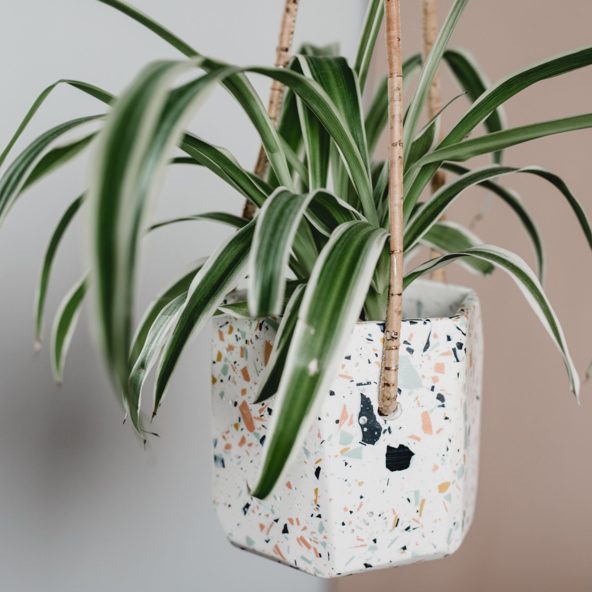 Here are 6 independent shops to know about for gift shopping Here are 6 independent shops to know about for gift shopping