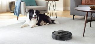Best Irobot Roomba Accessories