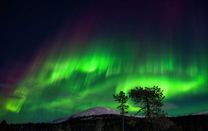 Northern Lights