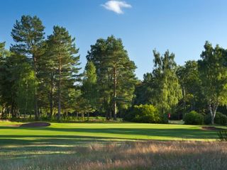 ladybank golf club course review