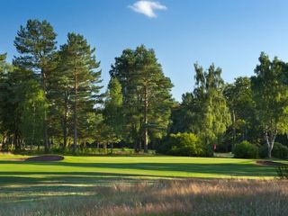 ladybank golf club