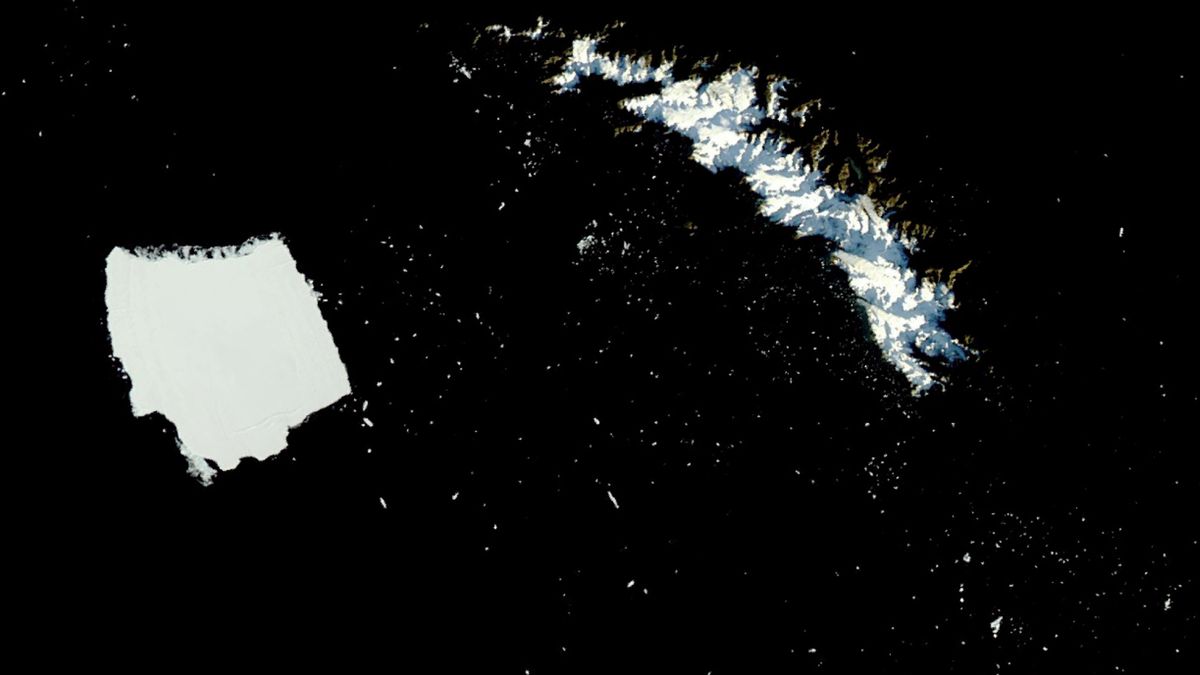 World's largest iceberg, A23a, is disintegrating into thousands of pieces alongside penguin refuge — Earth from space
