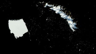 A satellite photo of a giant iceberg next to an island with hundreds of smaller icebergs surrounding the pair