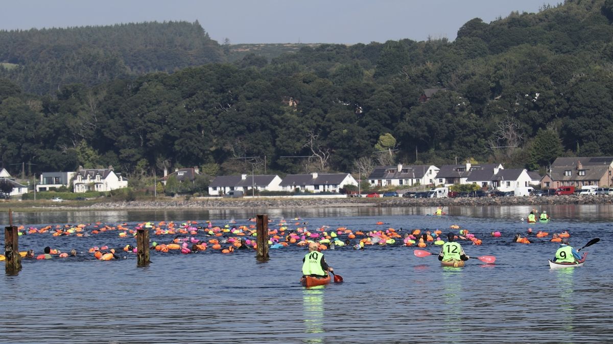 swimmers in the kessock ferry swim