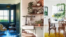 Three images of homes decorated with plants and mid century furniture