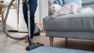 picture of woman vacuuming rug with cat looking on