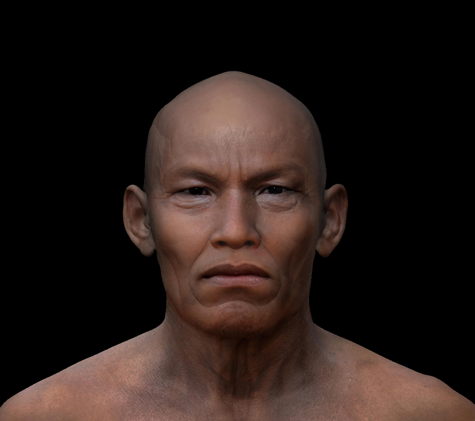 Illustration of the reconstructed face of the Punin 2 man