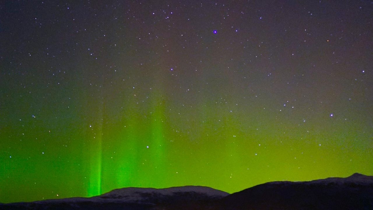 Hurtigruten