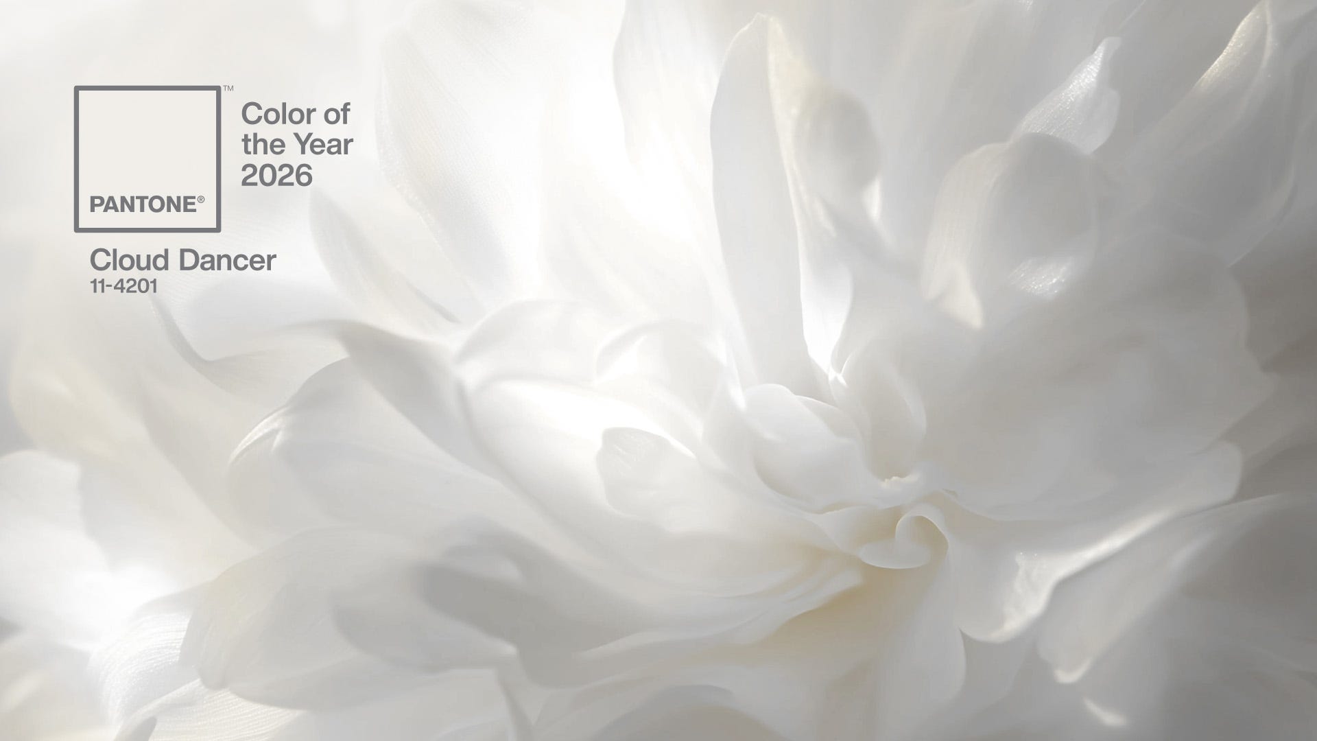 Pantone Colour of the Year