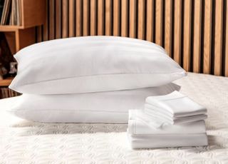 Cocoon by Sealy Pillows and Sheets
