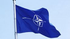 Flag of NATO 