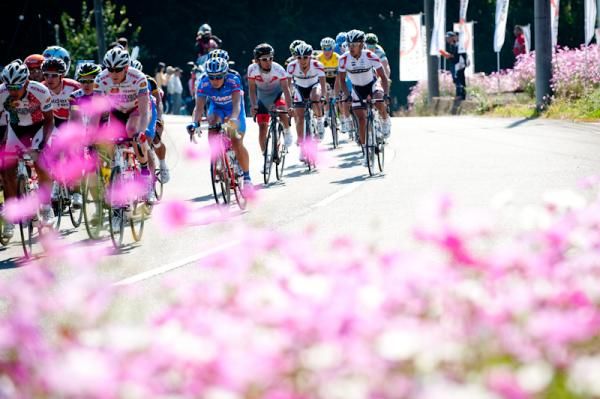 The main peloton at the Japan Cup.