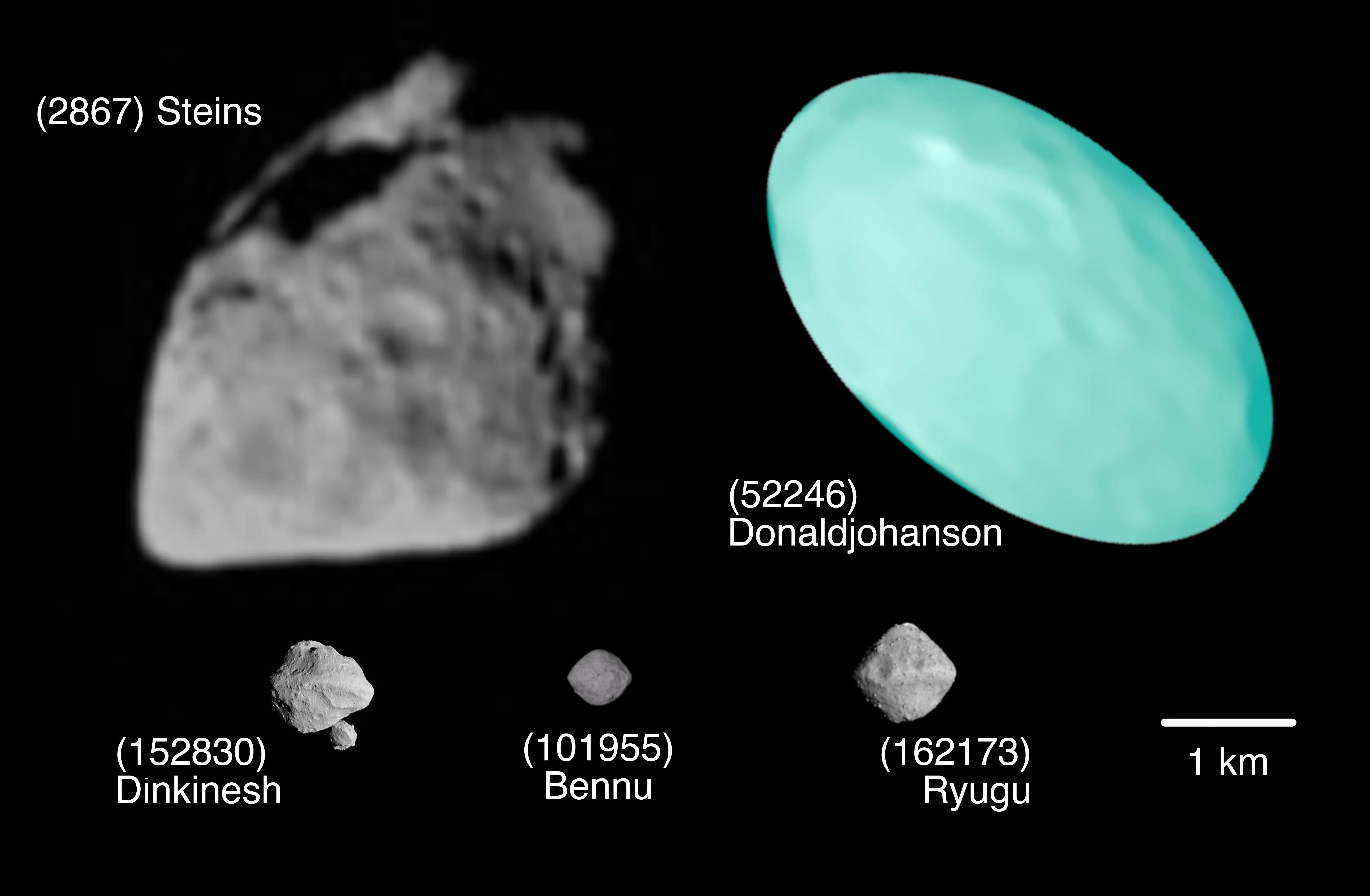 Visualizations of different asteroids comparing size. Donaldjohanson is larger than Bennu, Ryugu and Dinkinesh by a solid amount.