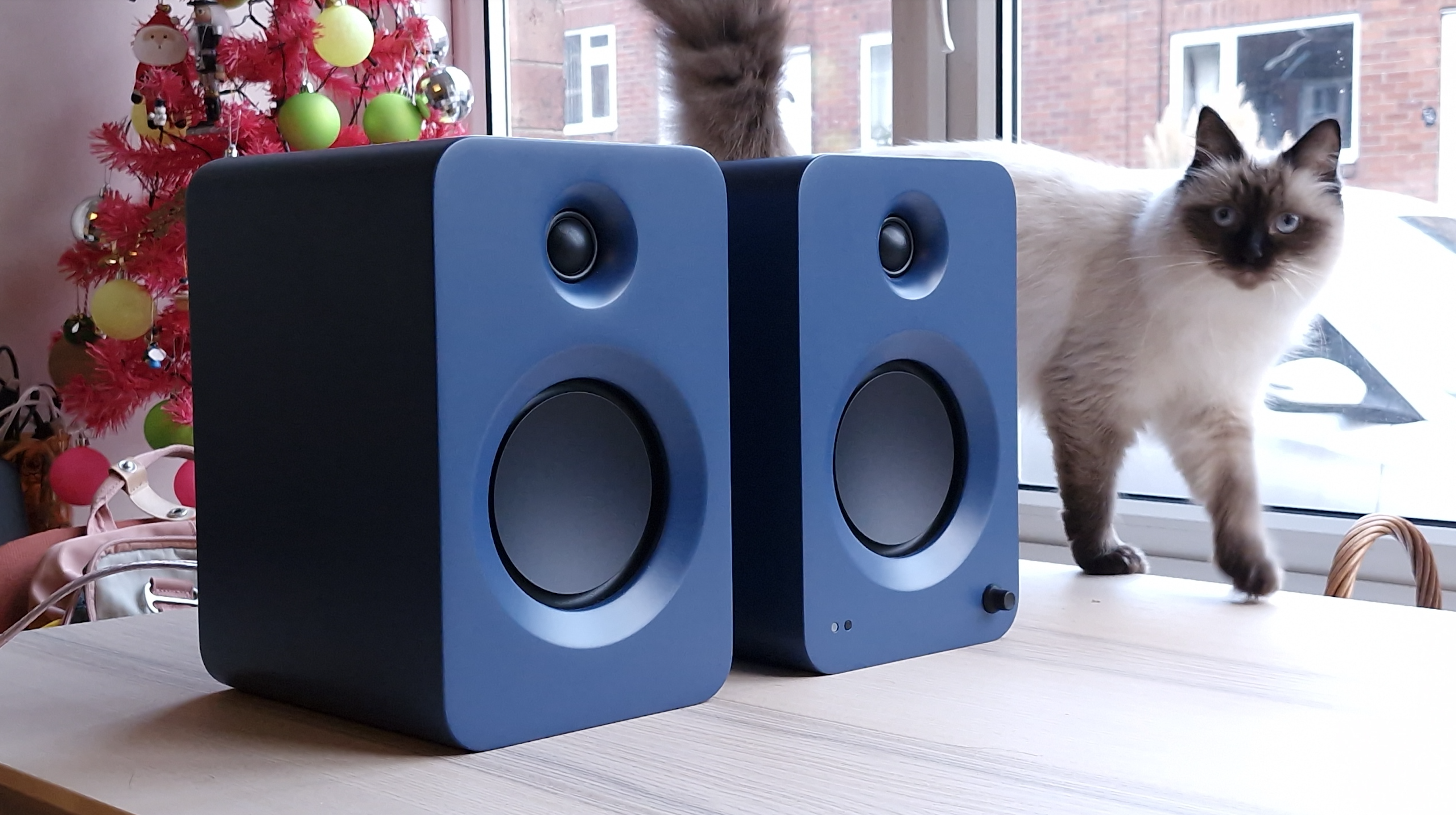 Altavoces Canto Ring con un gato de fondo