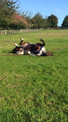 Hilly rolling in quarantine
