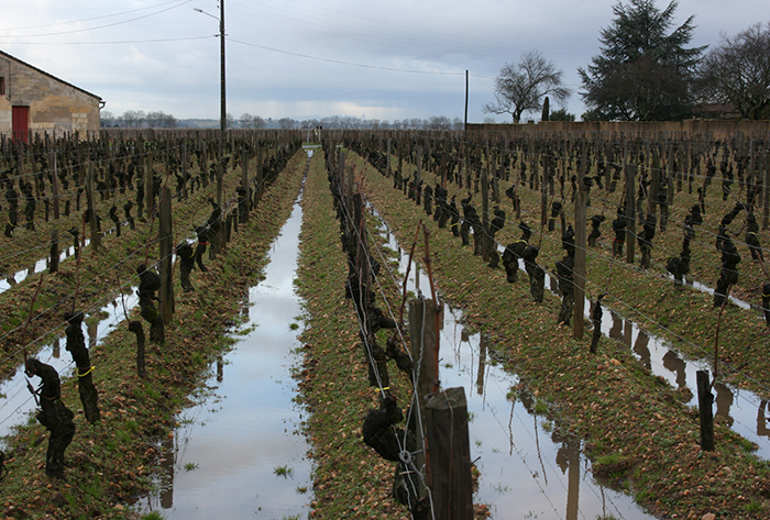 wet feet in Pomerol - Andrew Jefford