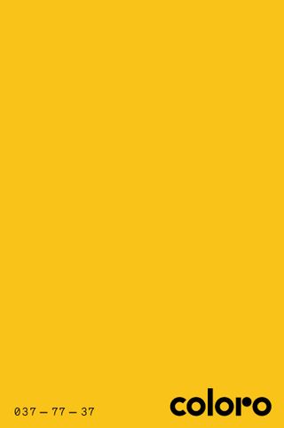 Pollen Yellow Coloro 037-77-37