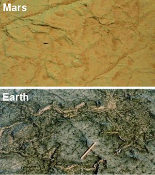 A comparison of cracks in Gillespie Lake outcrop on Mars and in a modern microbial mat in Bahar Alouane, Tunisia.