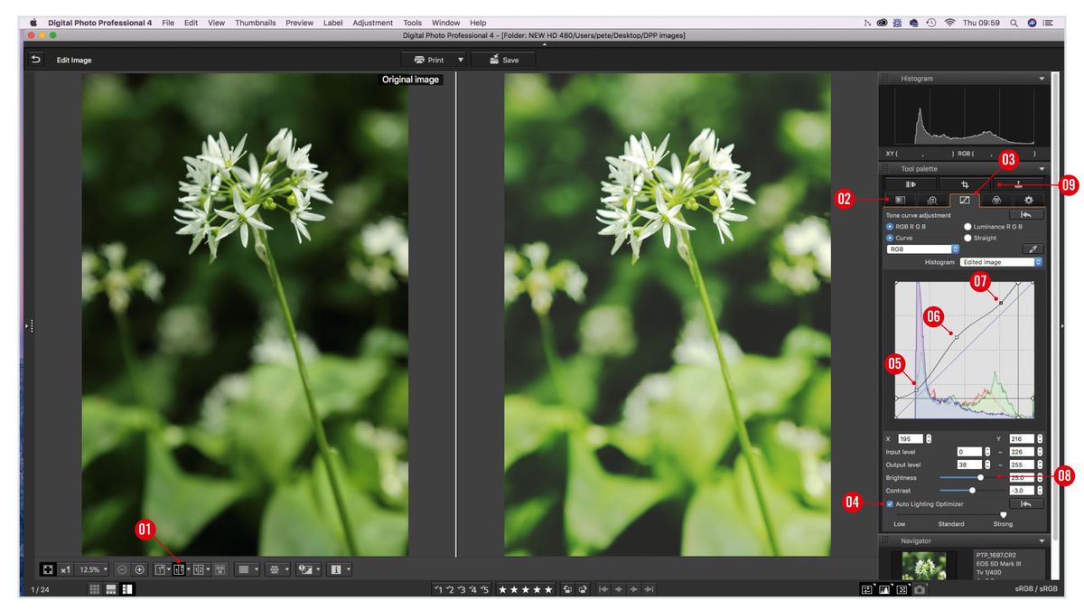 canon photo editing programs