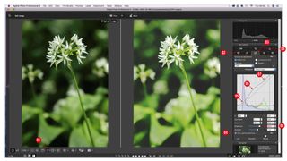 How to use Canon Digital Photo Professional