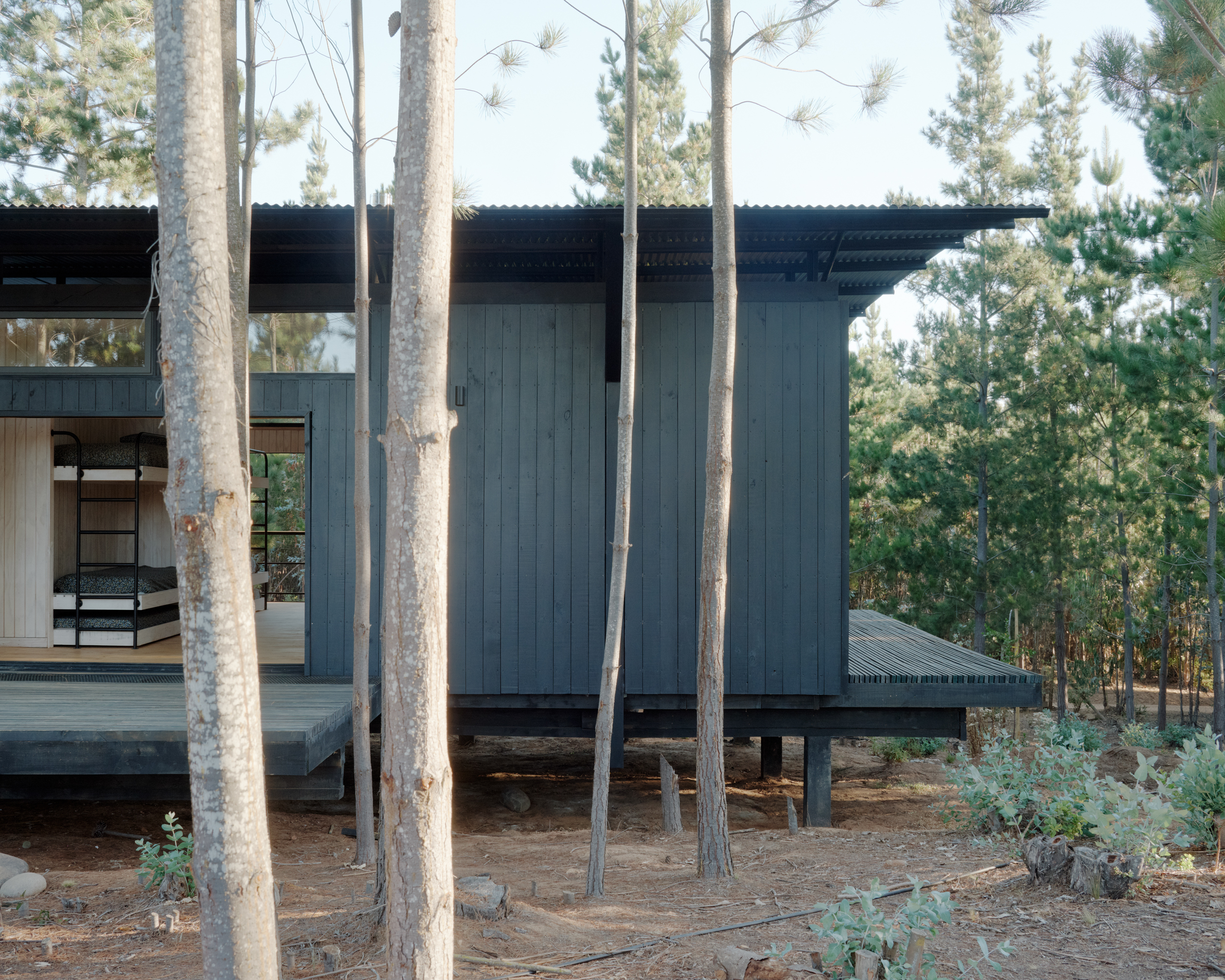Dharq Arquitectos