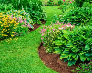 Perennial flower beds with lilies, hosta and bleeding hearts