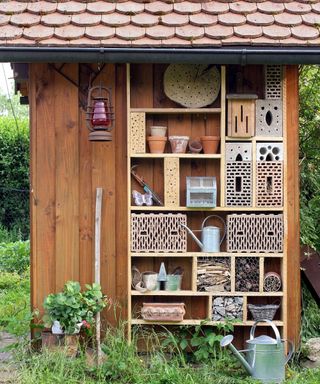 Garden shed with insect hotel attached