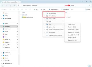 File Explorer search options