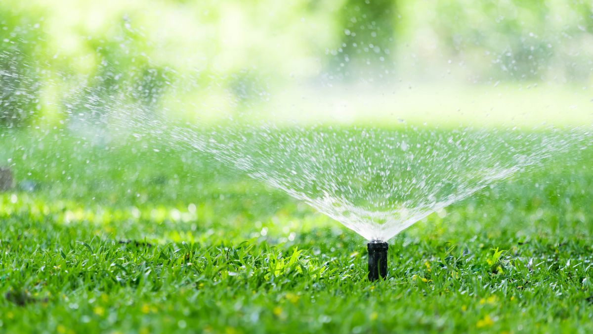 A sprinkler system watering a lawn