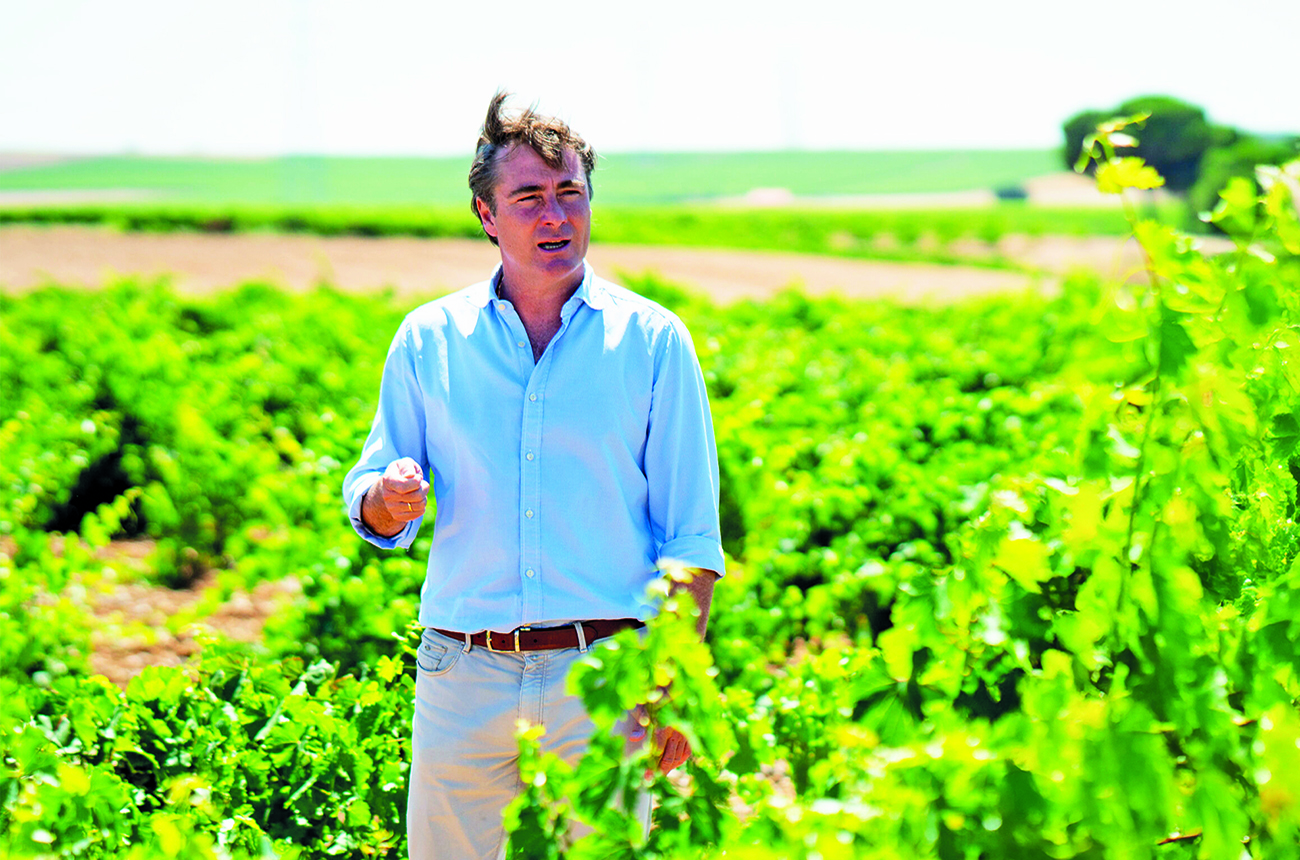 Luis Hurtado de Am&amp;eacute;zaga, technical director of Marqu&amp;eacute;s de Riscal