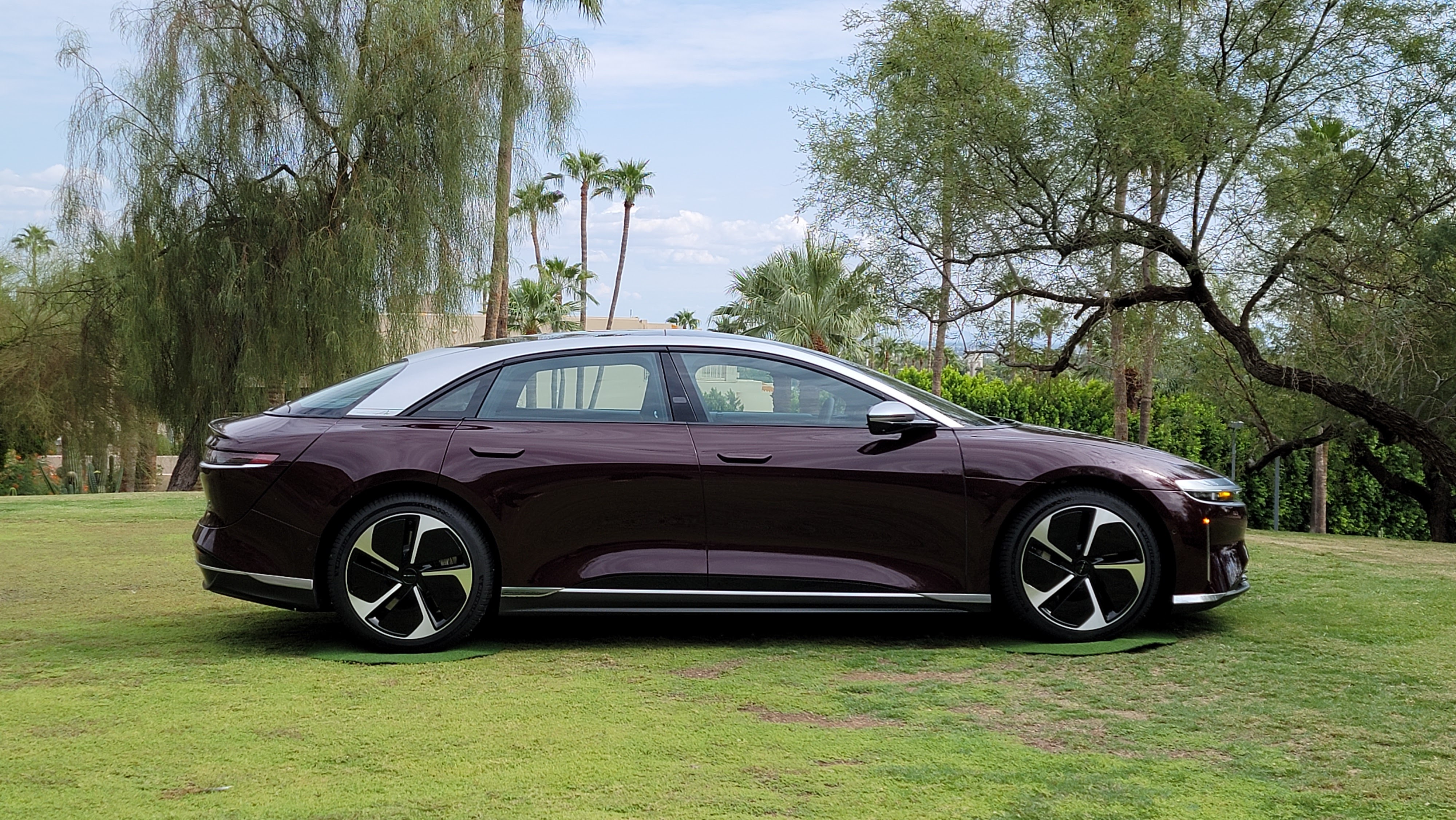 Side view of car parked on grass