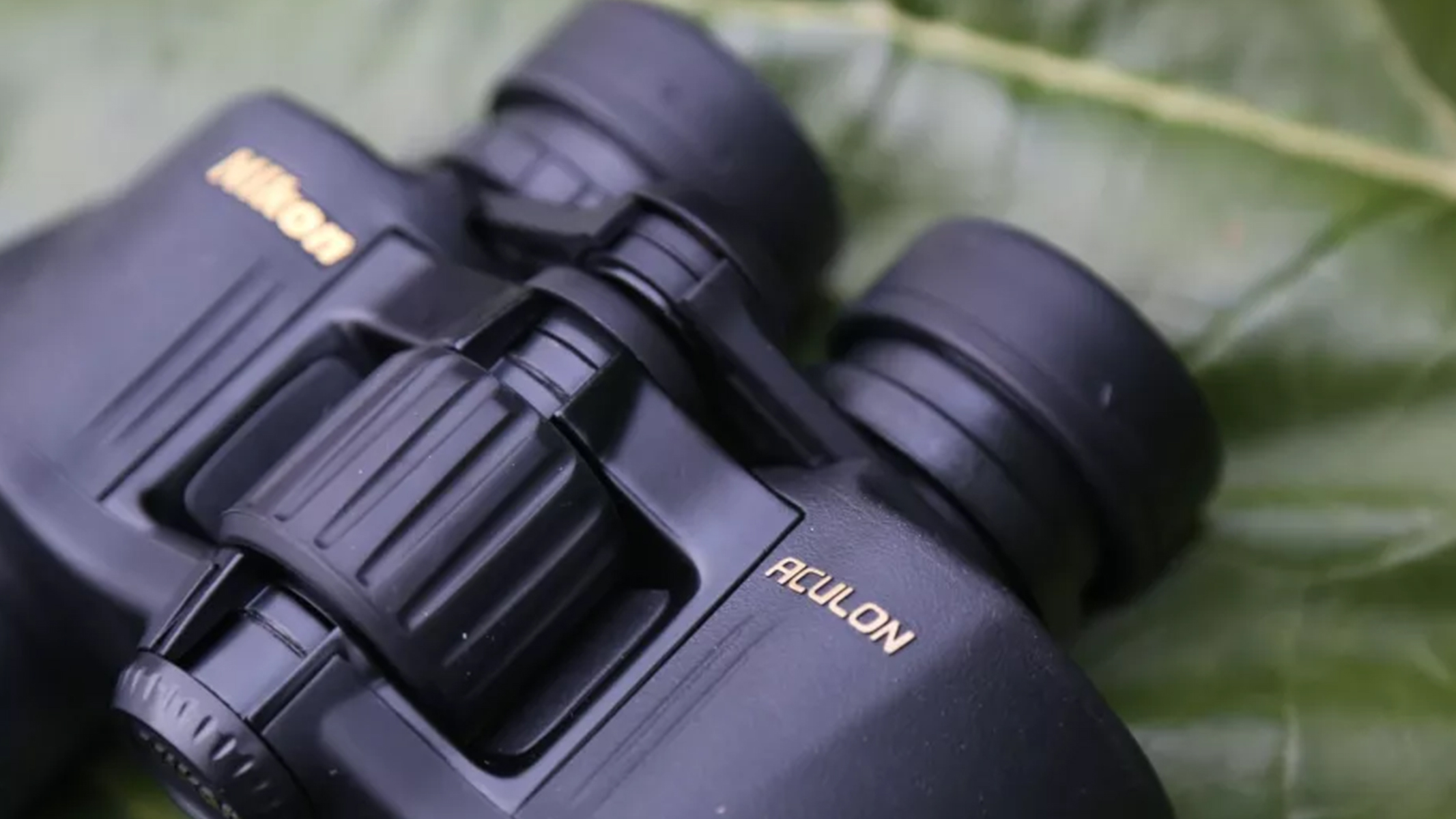 Review photo of the Nikon 10x50 Aculon A211