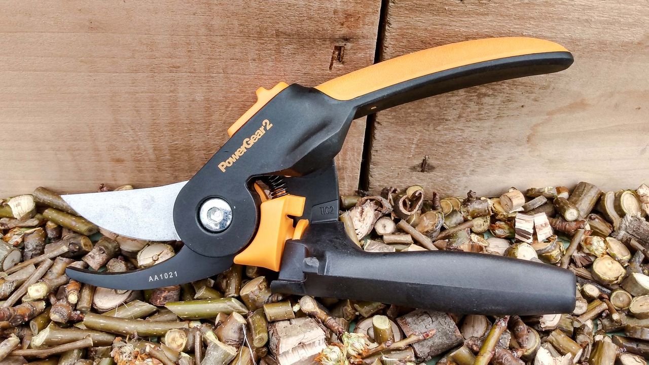 Best Pruning Shears:
