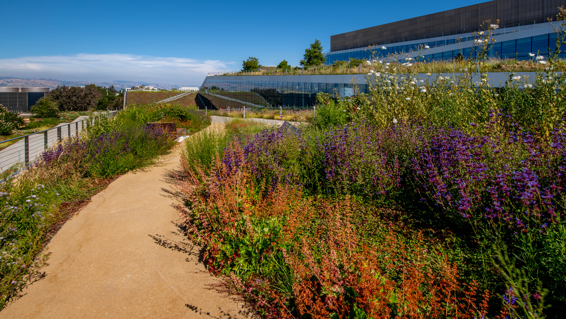 A view of a dirt road next to a series of flowers and buildings.