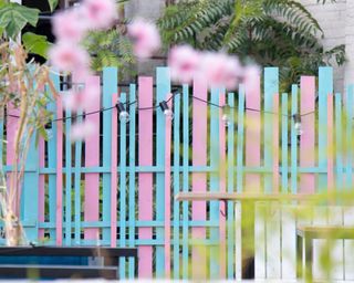Detail of a backyard with pink and blue wooden fence with light bulbs and foliage