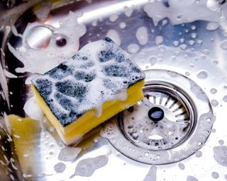 Soapy sponge, scourer side up, in a bubbly stainless steel kitchen sink