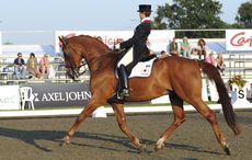Golden-Coin-4.jpg